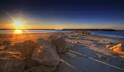 Camargue
