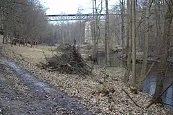 Robečský potok v Pekle u České Lípy