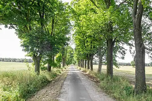 v červnu 2014