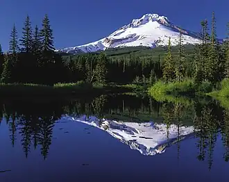 Hood - pohled od jezera Trillium