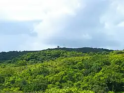 Mount Ngerchelchuus
