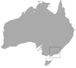 mapa rozšíření