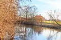 Mrtvé rameno Labe u Němčic