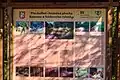Mrtvé rameno Orlice u Stříbrného rybníka - infotabule