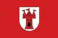Mszczonów – vlajka