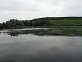 Porost na přítoku