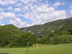 Šarkanica