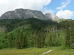 Murań z Polany pod Muraniem
