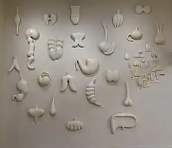 Organs