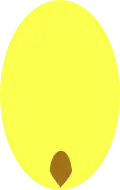 Muška
