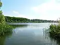 Zbrodský rybník