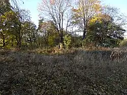 Tvrziště