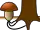 mykorhizní ekologický typ