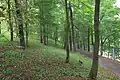 Náměšťská obora