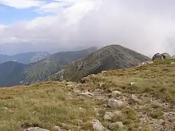 Konské z Chopoku