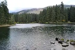 Vrbické pleso