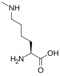 methyllysin