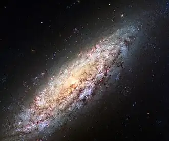 NGC 6503 na snímku z Hubbleova vesmírného dalekohledu