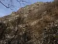 Skalní lesostep