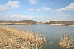 Bohdanečský rybník