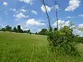 Strabišov-Oulehla