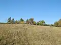 Strabišov-Oulehla