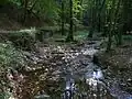 Vůznice nedaleko pod Jinčovem