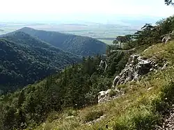 Vápenná dolina