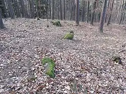 Kameny roztroušené v prostoru řad