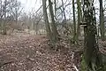 Krmelec a krmítka