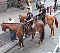Policisté z N.Y.P.D. na koni