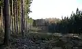 Paseka západně od vrcholu.