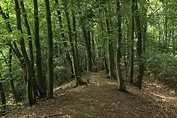 pozůstatky valů akropole tvrziště