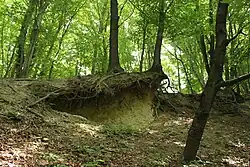 Na Hradech (26).JPG