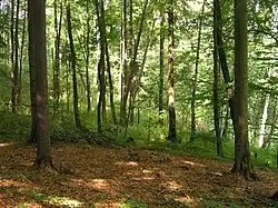 Na hranicích