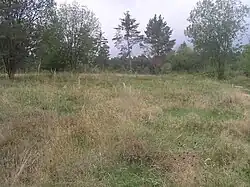 Na Plachtě 2