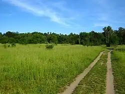 Pohled na lokalitu
