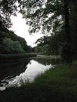 Starý meandr Labe