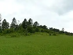 Na Víně
