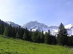 Naafkopf