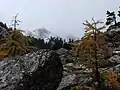 Jezero Nabige Loch, vysoká soutěska pod svahy Seekofelsu.