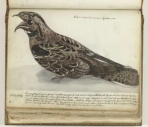 Jan Brandes, 1784