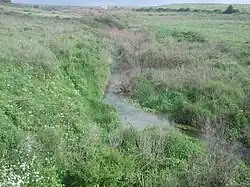 Nachal Tut
