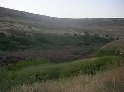 Pohled na Nachal Javne'el