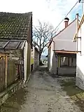 Cesta na náves
