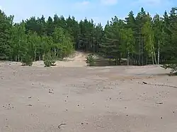 Kunilamägi, nejvyšší bod ostrova