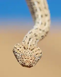 alternativní popis obrázku chybí