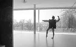 Tanečnice (Nataša Novotná) ve vile Tugendhat, 2017