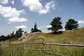Křížky