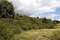 Štěpánský rybník